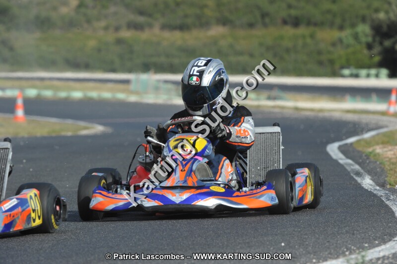 DSC (3955).JPG